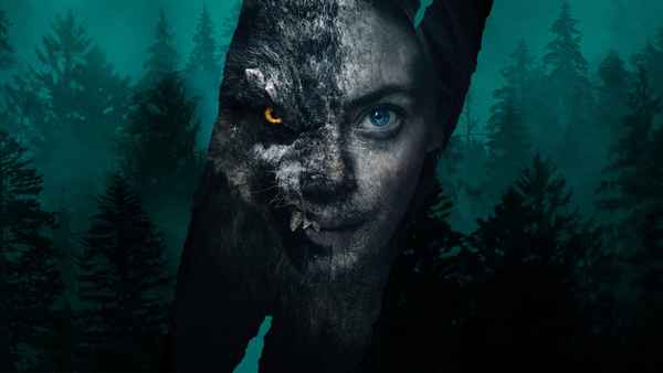Viking Wolf Poster 1
