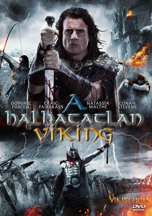 Vikingdom Poster 1