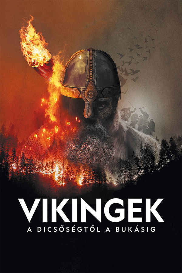 Vikings: The Rise and Fall Poster 7