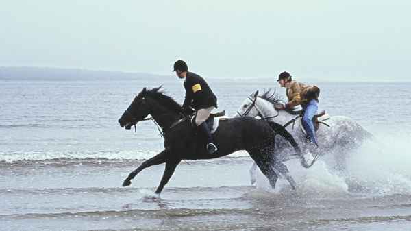 Virginia's Run Poster 1