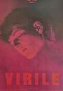 Virile Poster 2