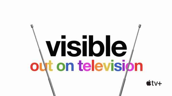 Visible: Out On Television Poster 2