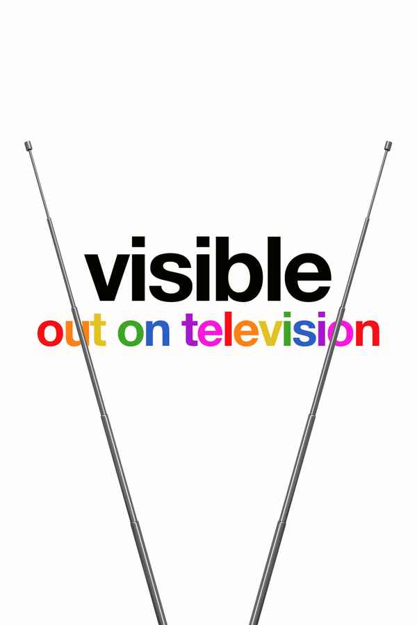 Visible: Out On Television Poster 5