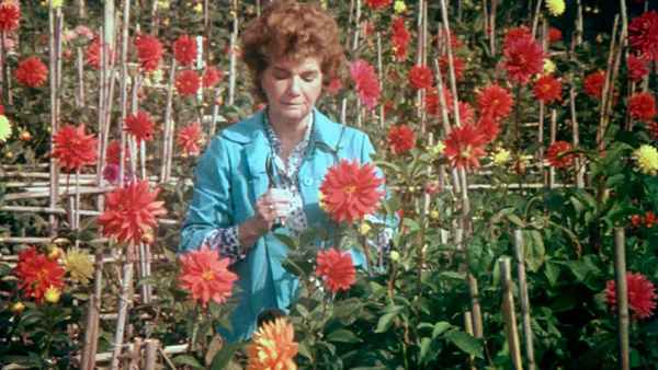 Visit, or Memories and Confessions Poster 1