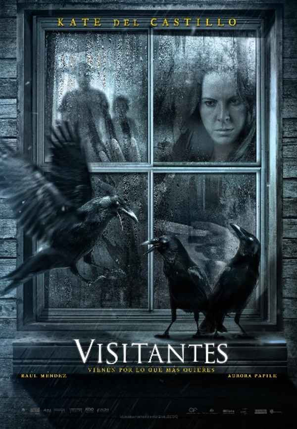 Visitors Poster 3