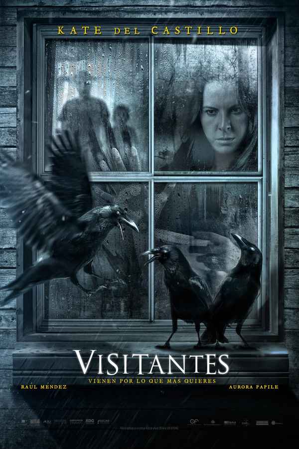 Visitors Poster 2