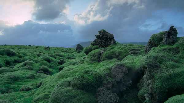 Voyage of Time: The IMAX Experience Poster 4