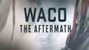 Waco: The Aftermath Poster 7