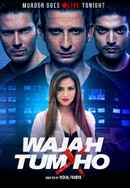 Wajah Tum Ho Poster 6