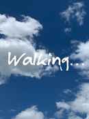 Walking… Poster 4
