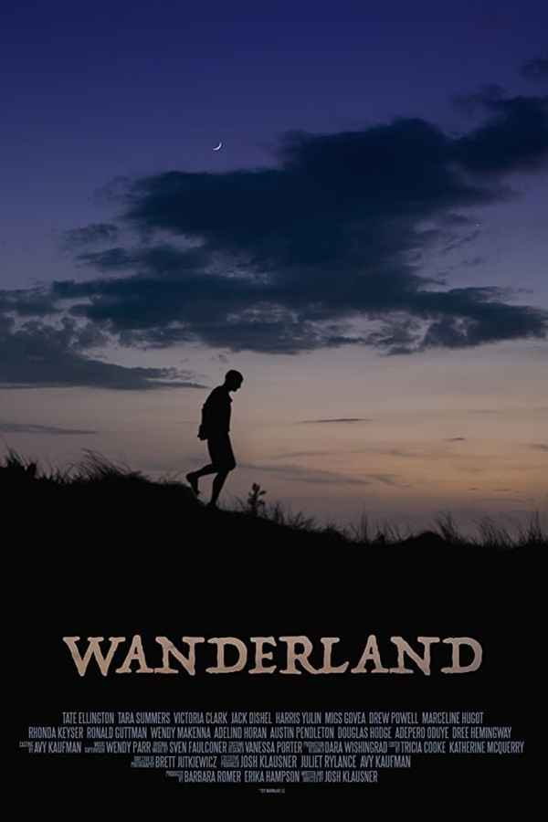 Wanderland Poster 4