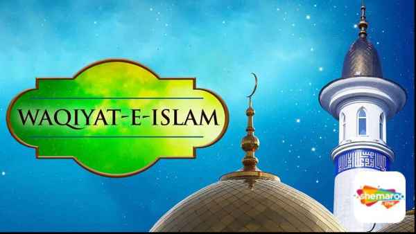 Waqiyat-E-Islam Poster 2