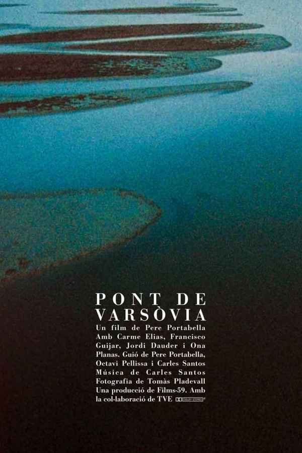 Warsaw Bridge Poster 3