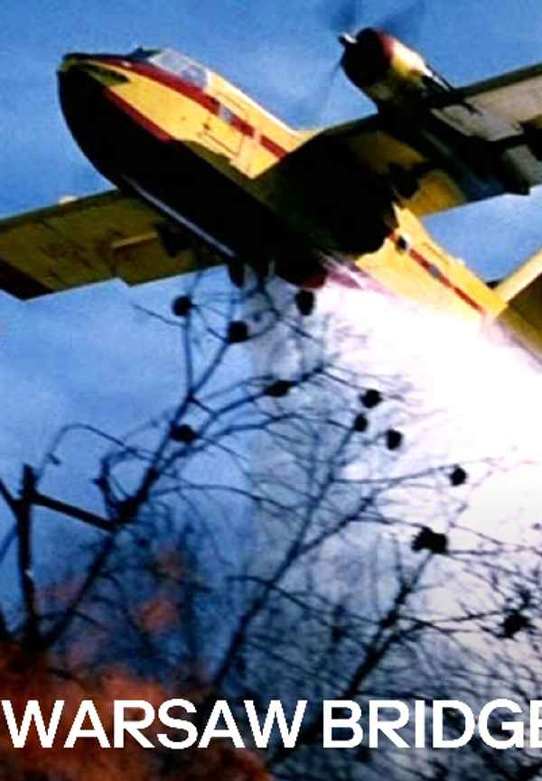 Warsaw Bridge Poster 3