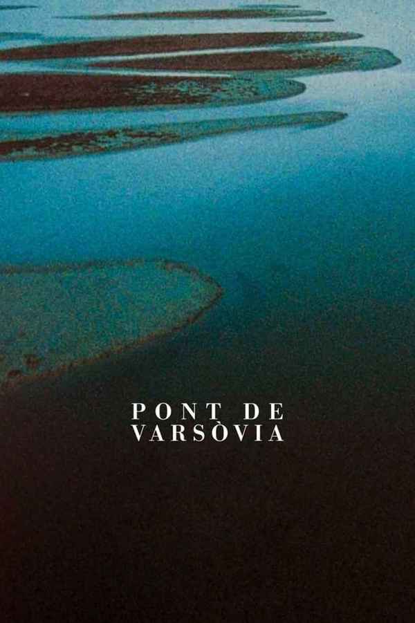 Warsaw Bridge Poster 5