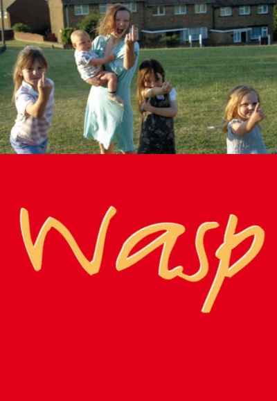 Wasp