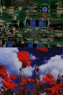 Wasteland No. 1: Ardent Verdant Poster 4