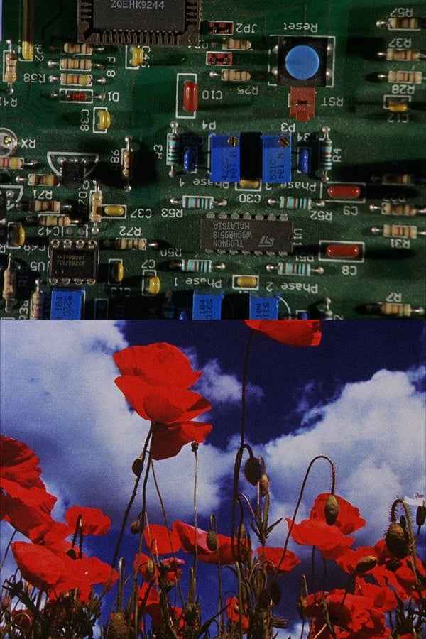 Wasteland No. 1: Ardent Verdant Poster 4