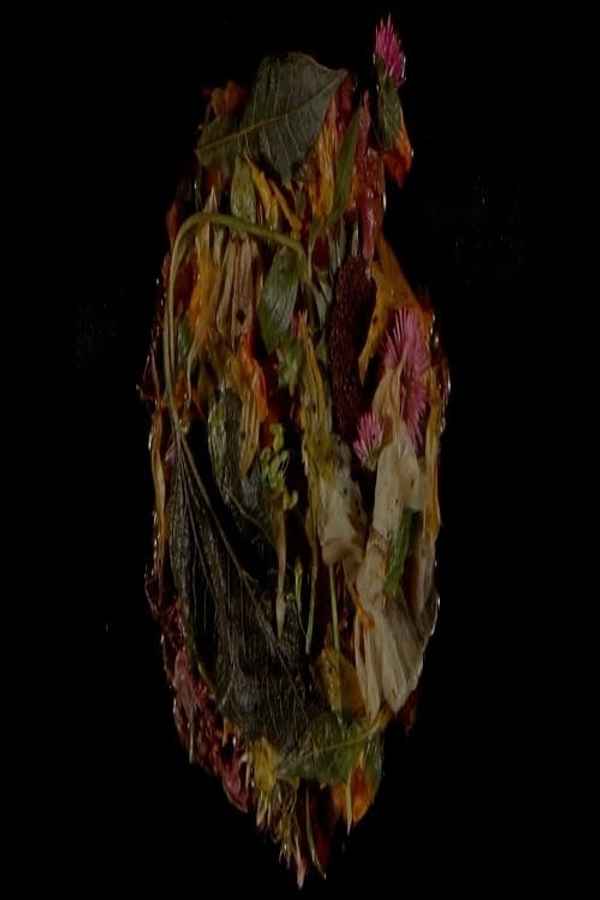 Wasteland No. 3: Moons, Sons Poster 2