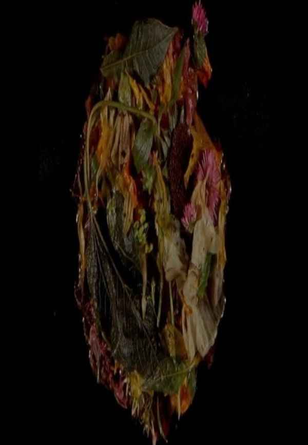 Wasteland No. 3: Moons, Sons Poster 6