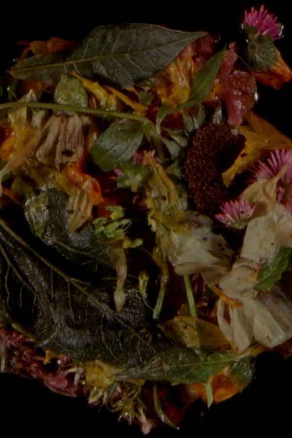 Wasteland No. 3: Moons, Sons Poster 1