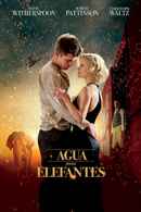 Water for Elephants Poster 6