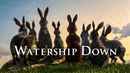 Watership Down Poster 7