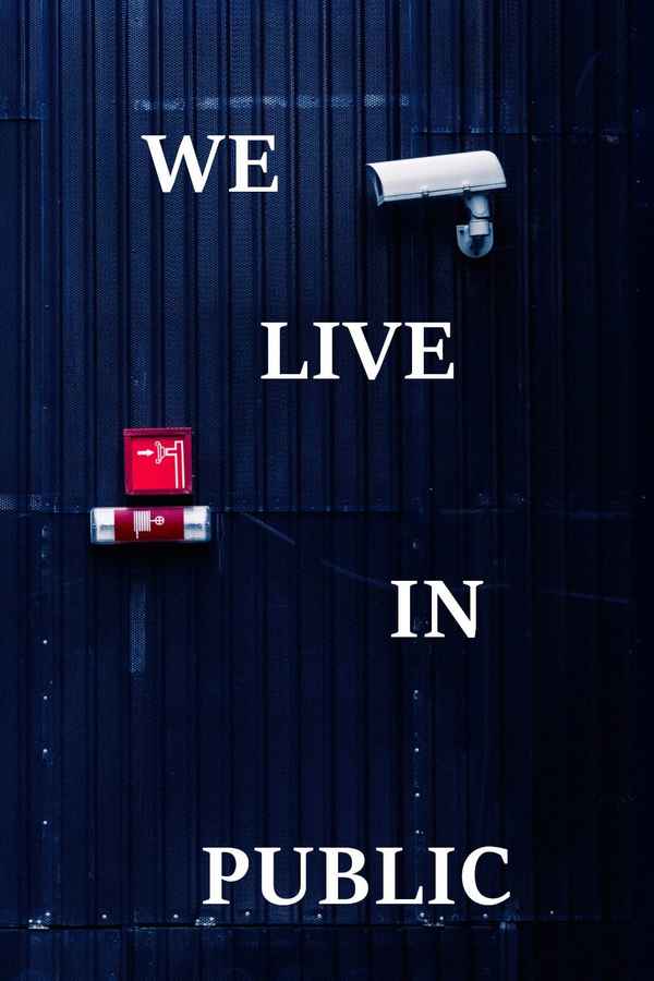 We Live in Public Poster 1