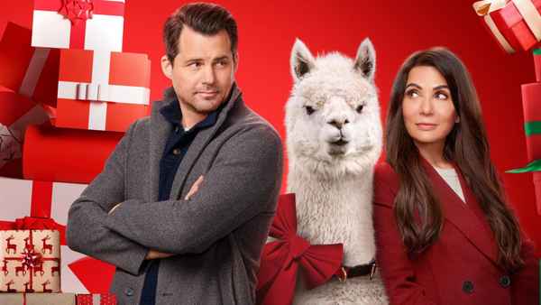 We Wish You a Married Christmas Poster 4