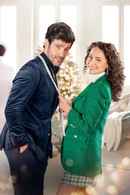 Well Suited For Christmas Poster 6