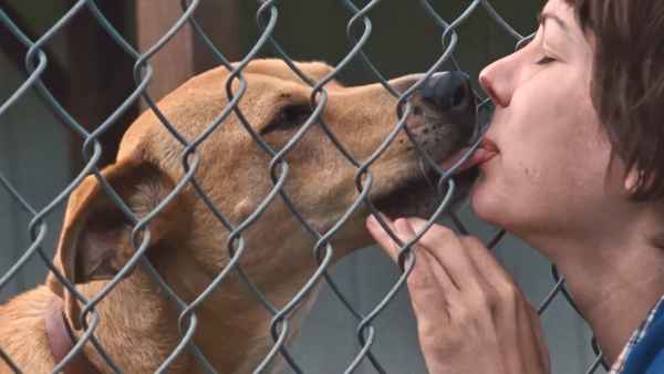 Wendy and Lucy Poster 4