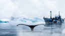 Whale Wars Poster 7
