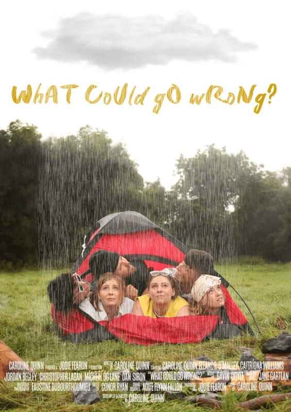 What Could Go Wrong? Poster 1