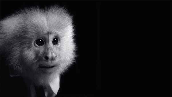 WHAT DID JACK DO? Poster 2