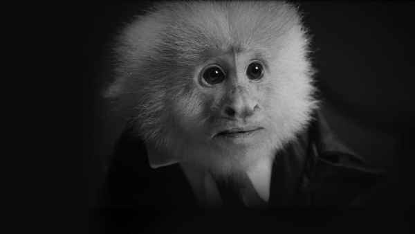 WHAT DID JACK DO? Poster 6