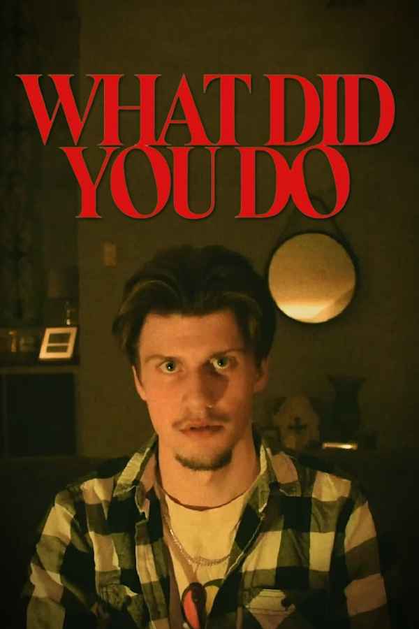 What Did You Do Poster 3