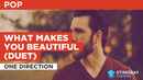 What Makes You Beautiful (Duet) in the Style of One Direction Poster 1