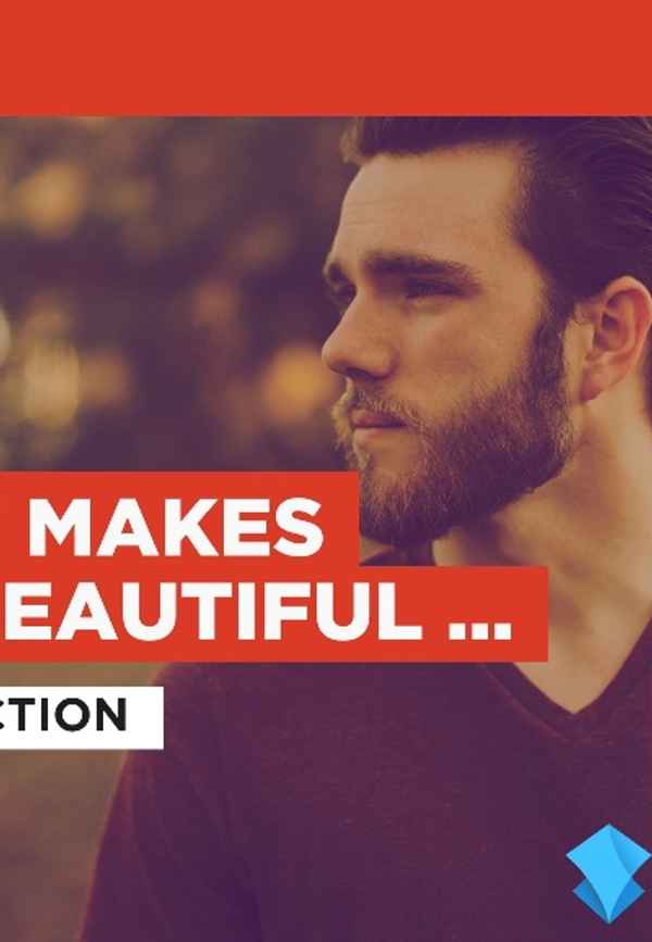 What Makes You Beautiful (Duet) in the Style of One Direction Poster 3