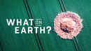 What on Earth? Poster 6