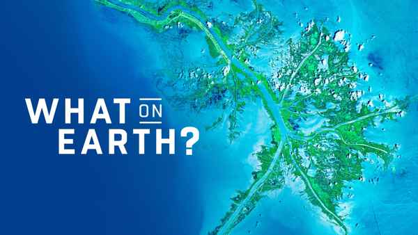 What on Earth? Poster 7