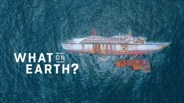 What on Earth? Poster 4