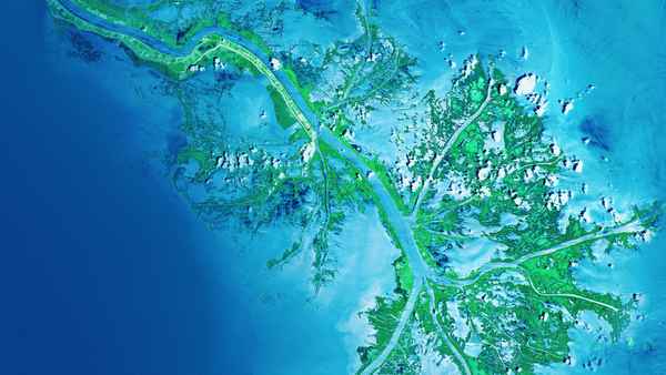 What on Earth? Poster 2