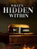 What's Hidden Within Poster 1