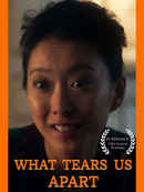 What Tears Us Apart Poster 1