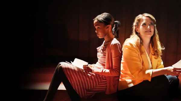 What the Constitution Means to Me Poster 3