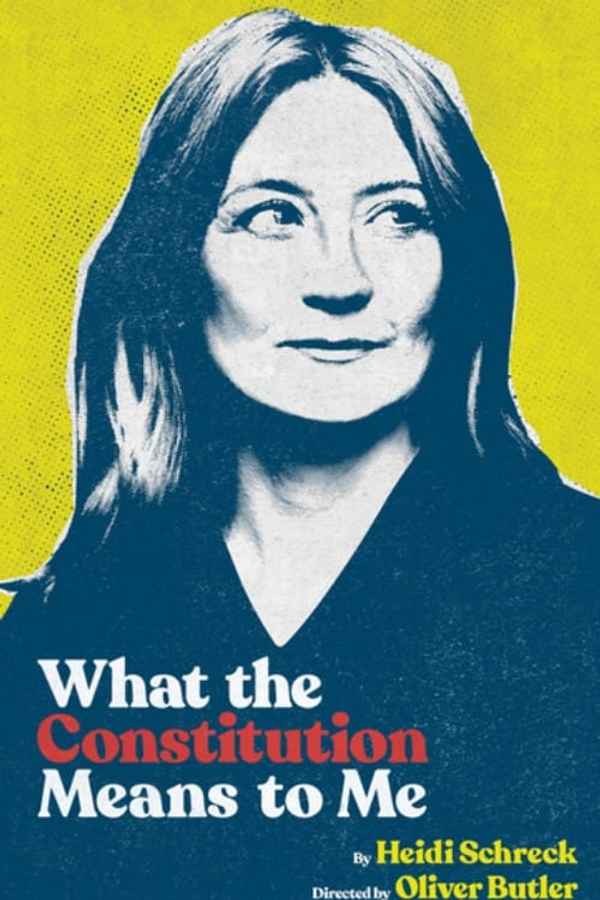 What the Constitution Means to Me Poster 6