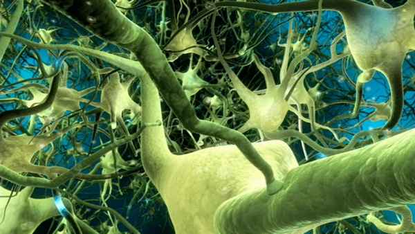 What the #$*! Do We (K)now!? Poster 1