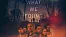 What We Found Poster 5