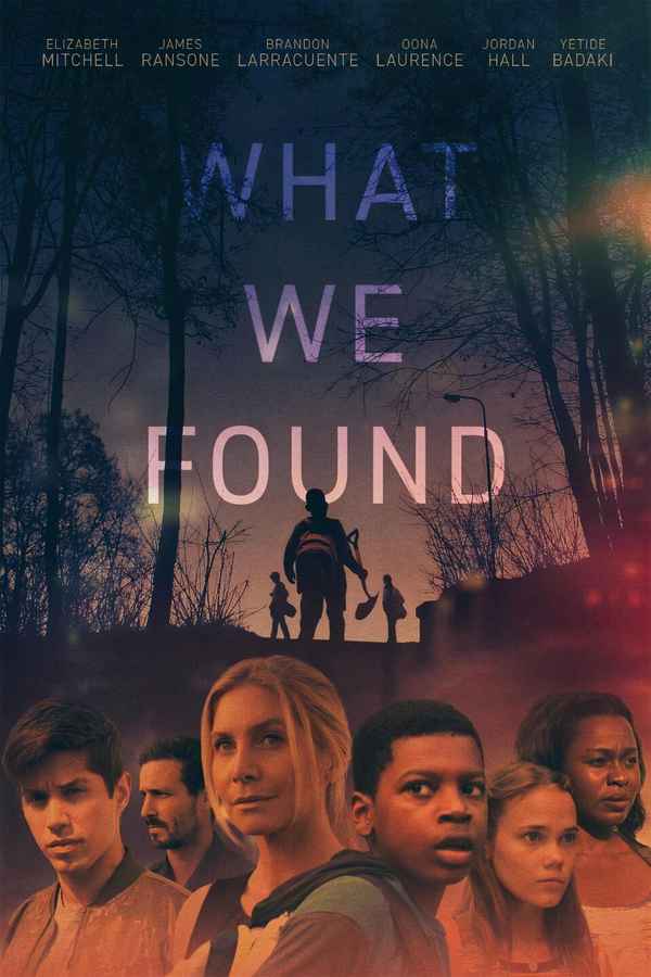 What We Found Poster 3