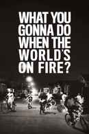 What You Gonna Do When the World's on Fire? Poster 5